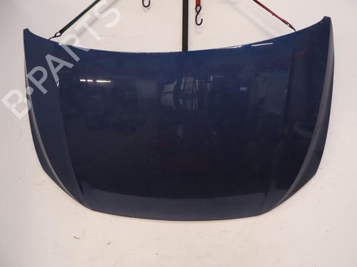 Used Hood Hood VW POLO VI (AW1, BZ1, AE1) 1.0 TSI (95 hp) 39733117 39733117