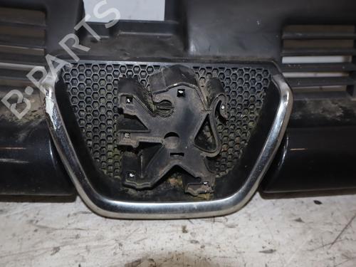 Used Grille Grille PEUGEOT 206+ (2L_, 2M_) 1.4 HDi eco 70 (68 hp) 33744447 33744447