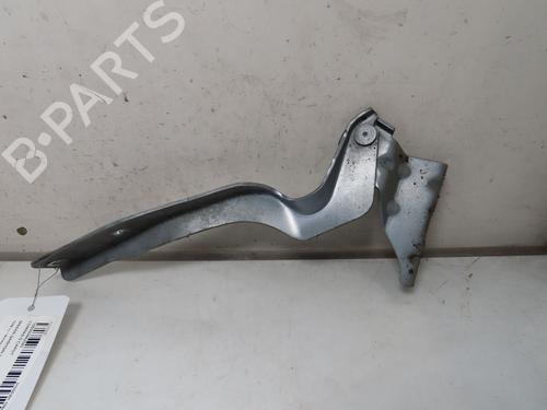 Hinge/Door check strap NISSAN QASHQAI II (J11, J11_) 1.6 dCi | BP25796408C146