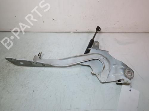 Used Hinge/Door check strap RENAULT SCÉNIC III (JZ0/1_) 1.6 dCi (JZ00, JZ12) (130 hp) 22997975
