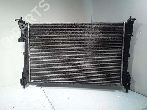 Used Water radiator FIAT PUNTO EVO (199_) 1.3 D Multijet (199AXC1A, 199BXC1A, 199AXT1A, 199BXT1A) (75 hp) 8994436