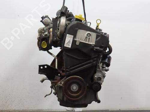 Motor RENAULT CLIO III (BR0/1, CR0/1) 1.5 dCi (BR17, CR17) | BP29872648M1