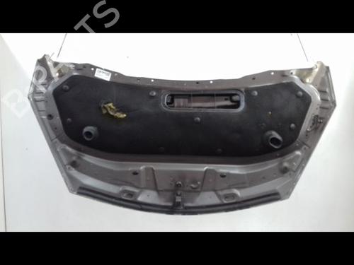 Capot RENAULT ESPACE IV (JK0/1_) 1.9 dCi (JK0U) (116 hp) 10064021