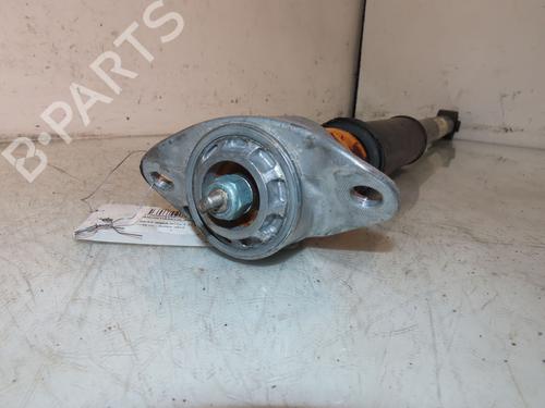 Right rear shock absorber SEAT IBIZA IV (6J5, 6P1) 1.2 | BP20340319M19 