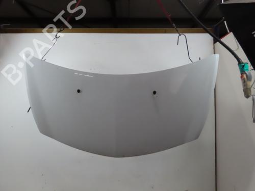 Used Hood RENAULT CLIO III (BR0/1, CR0/1) 1.5 dCi (75 hp) 24871423