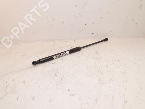 Used Tailgate lift support RENAULT TWINGO II (CN0_) 1.2 16V (CN04, CN0B) (75 hp) 27992708