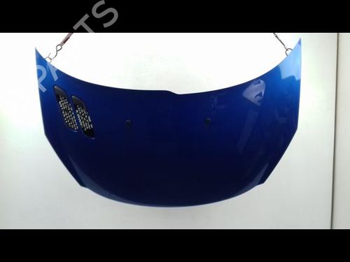 Used Hood PEUGEOT 206+ (2L_, 2M_) 1.4 i (73 hp) 8991390