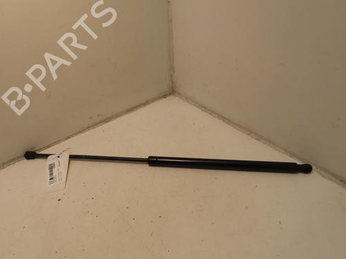 Used Tailgate lift support RENAULT KANGOO (KC0/1_) 1.5 dCi (KC07) (65 hp) 30605749