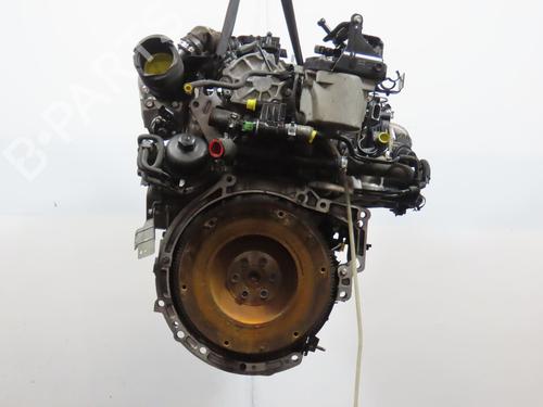 Motor für FORD FIESTA VI (CB1, CCN) 1.4 TDCi (70 hp) 29963680