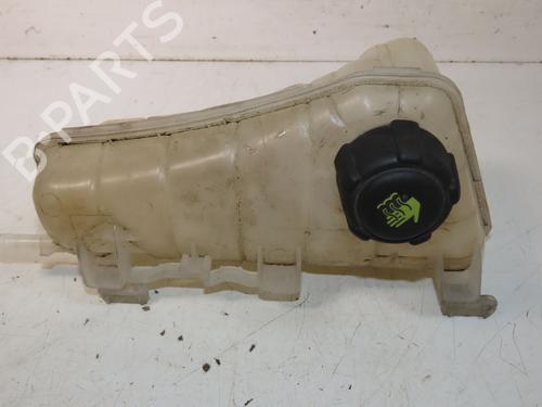 Used Expansion tank RENAULT KANGOO III Box Body/MPV 1.5 Blue dCi 75 (FJAA) (75 hp) 30950869