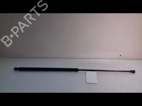 Used Tailgate lift support NISSAN JUKE (F15) 1.6 (117 hp) 14893424