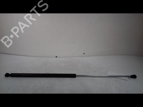 Used Hood lift support PEUGEOT 106 II (1A_, 1C_) 1.1 i (60 hp) 14893022