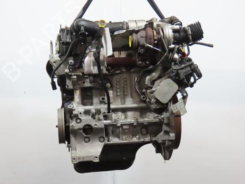Motor FORD FIESTA VI (CB1, CCN) 1.4 TDCi | BP29963680M1