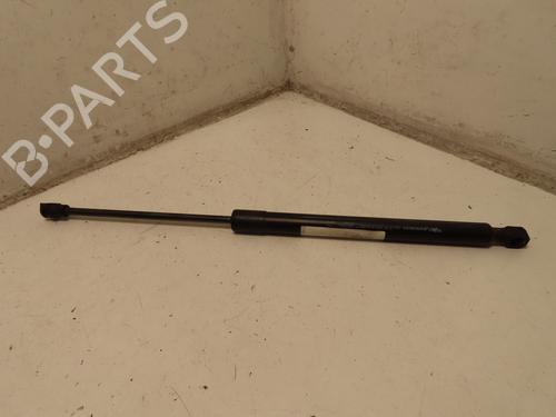 tailgate-lift-support-dacia-sandero-iii-2021-29414661 main image