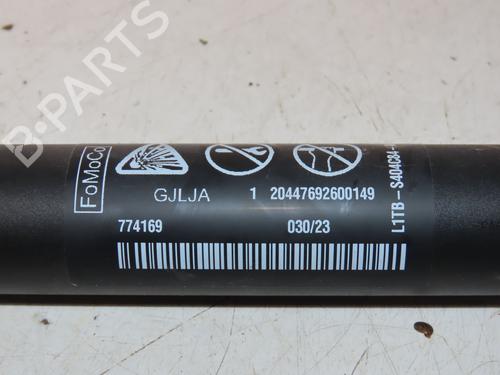 Gasdæmper bagklap FORD PUMA (J2K, CF7) 1.0 Flexifuel | BP30954161C138