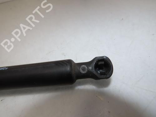 Tailgate lift support RENAULT CLIO III (BR0/1, CR0/1) 1.4 16V | BP26534811C138 