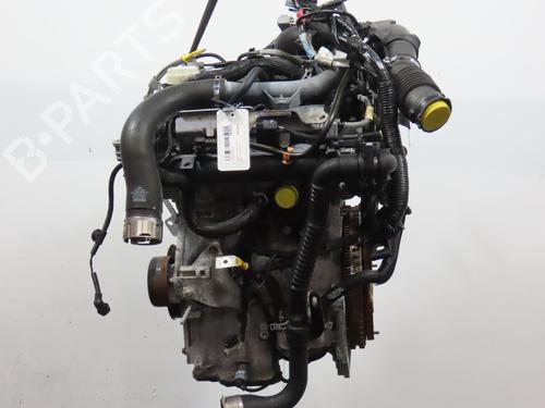 Motor RENAULT CLIO V (B7_) 1.0 TCe 90 (B7MT) | BP29963685M1