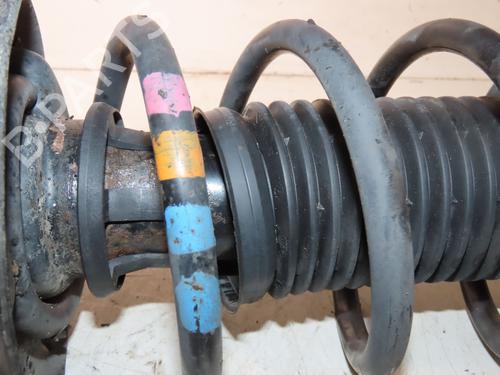 Used Right front shock absorber VW GOLF PLUS V (5M1, 521) 1.6 TDI (105 hp) 30767804