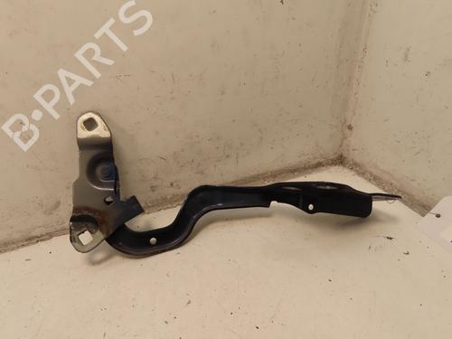 Hinge/Door check strap RENAULT GRAND SCÉNIC IV (R9_) 1.2 TCe 130 | BP29442231C146 