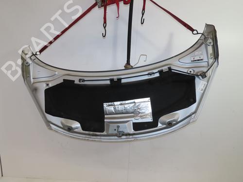 Used Hood PEUGEOT 207 (WA_, WC_) 1.6 HDi (92 hp) 30840412