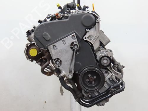 Engine SEAT IBIZA IV (6J5, 6P1) 1.6 TDI | BP28105855M1 