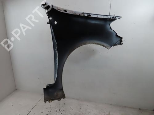 Left front fenders RENAULT CLIO III (BR0/1, CR0/1) 1.5 dCi | BP21211445C41 