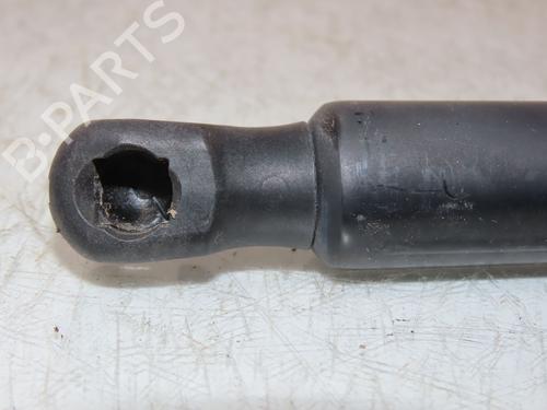 tailgate-lift-support-vw-golf-vii-5g1-bq1-be1-be2-2012-2013-2014-2015-2016-2017-2018-2019-2020-2021-25450594 main image