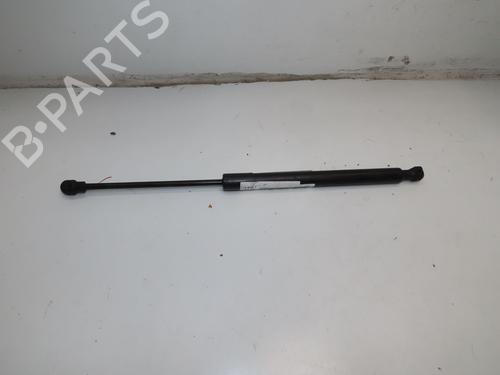 Used Hood lift support DACIA LODGY (JS_) 1.5 dCi (JSMC, JSAF) (107 hp) 27709997