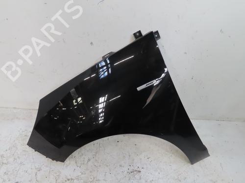 Left front fenders RENAULT SCÉNIC III (JZ0/1_) 1.6 dCi (JZ00, JZ12) | BP28120864C41 