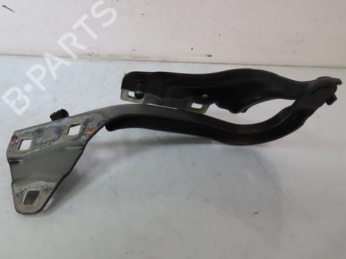 Hinge/Door check strap RENAULT MEGANE IV Hatchback (B9A/M/N_) 1.6 TCe 205 (B9MV) | BP25450553C146 