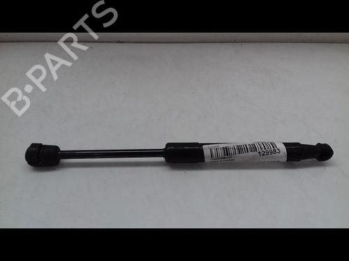 Used Hood lift support RENAULT SCÉNIC III (JZ0/1_) 1.6 dCi (JZ00, JZ12) (130 hp) 14893030