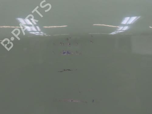 Used Left front door RENAULT TWINGO I (C06_) 1.2 (C066, C068) (58 hp) 29577721
