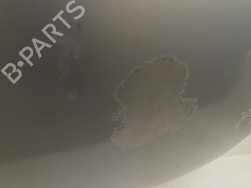 Motorhjelm BMW 5 (E60) 530 d (218 hp) 30952762