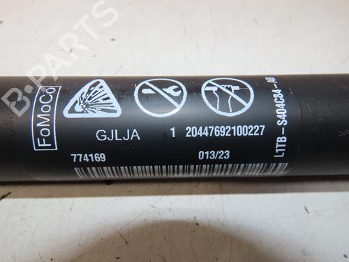 Gasdæmper bagklap FORD PUMA (J2K, CF7) 1.0 Flexifuel | BP30954121C138