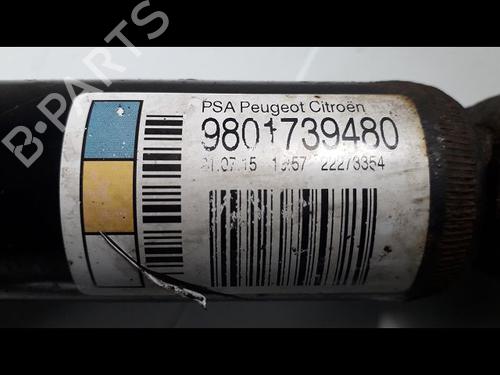 Used Right rear shock absorber CITROËN C3 II (SC_) 1.2 VTi 82 (82 hp) 10863039