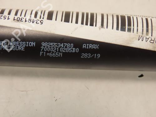 tailgate-lift-support-peugeot-2008-ii-ud_-us_-uy_-uj_-ur_-uc_-2019-26876684 main image