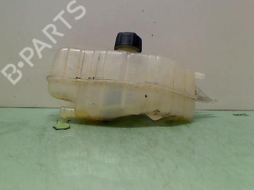 Expansion tank RENAULT CLIO III (BR0/1, CR0/1) 1.5 dCi (BR17, CR17) | BP23149296C120 