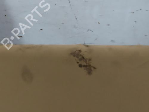 Interior roof PORSCHE PANAMERA (970) 3.0 S E-Hybrid | BP24651287I12