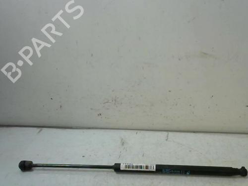 Gasdæmper bagklap FIAT IDEA (350_) 1.4 16V (95 hp) 14893705