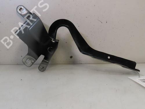 Hinge/Door check strap RENAULT CLIO IV (BH_) 1.5 dCi 90 | BP24185391C146 