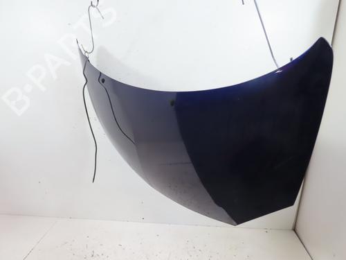 hood-renault-twingo-ii-cn0_-15-dci-75-651003355r-2007-22774894 main image