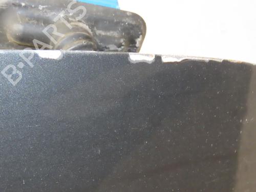 Portier rechts voor CITROËN C4 II (NC_) 1.6 HDi 90 (92 hp) 25705912