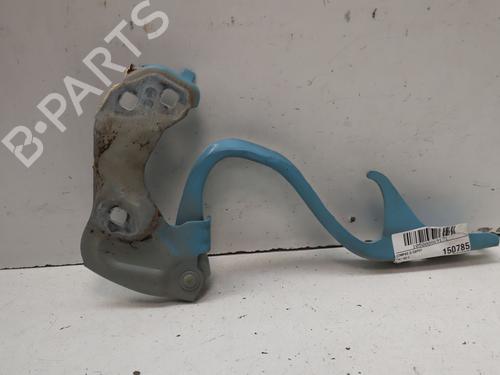 hingedoor-check-strap-fiat-500-312_-2007-39219538 main image