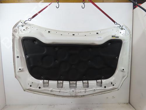 Hood MERCEDES-BENZ A-CLASS (W176) A 180 CDI / d (176.012) | BP24822069C1 