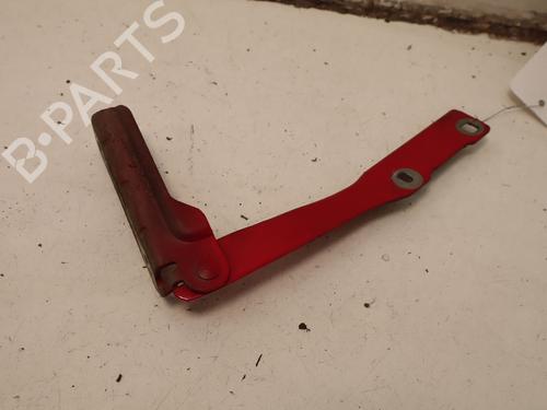 hingedoor-check-strap-dacia-sandero-2008-33416141 main image