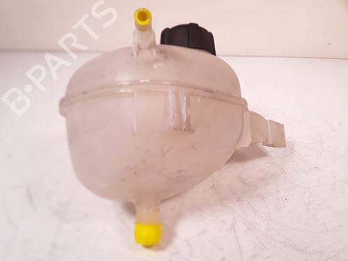 Ekpansionstank RENAULT TWINGO III (BCM_, BCA_) [2014-2025]  23149298