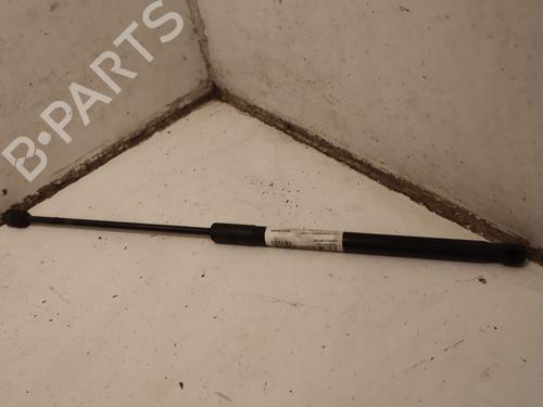 tailgate-lift-support-dacia-sandero-2008-33416198 main image