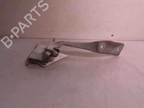 Hinge/Door check strap RENAULT KOLEOS I (HY_) 2.0 dCi (HY0K) | BP16416968C146 