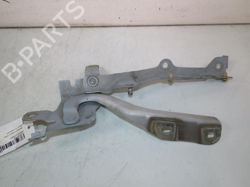 Hinge/Door check strap RENAULT CLIO IV (BH_) 1.5 dCi 75 | BP27245899C146 