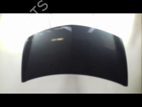 Used Hood RENAULT CLIO III (BR0/1, CR0/1) 1.5 dCi (88 hp) 12551639